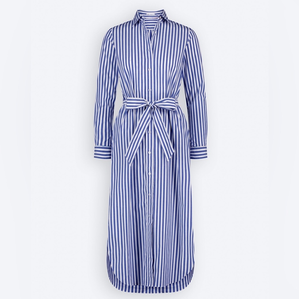 Robert Graham Blue Striped Leona Shirt Dress - Size 12